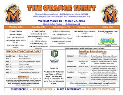 Orange Sheet infographic